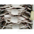 Frozen Red Spot Swimming Crab fresh frozen crab for sale Supplier